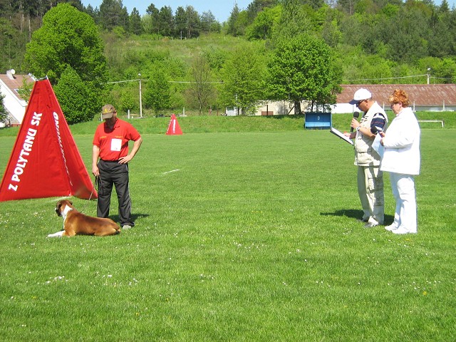 www.atibox.net * www.euroboxer.eu * www.boxergenealogia.eu